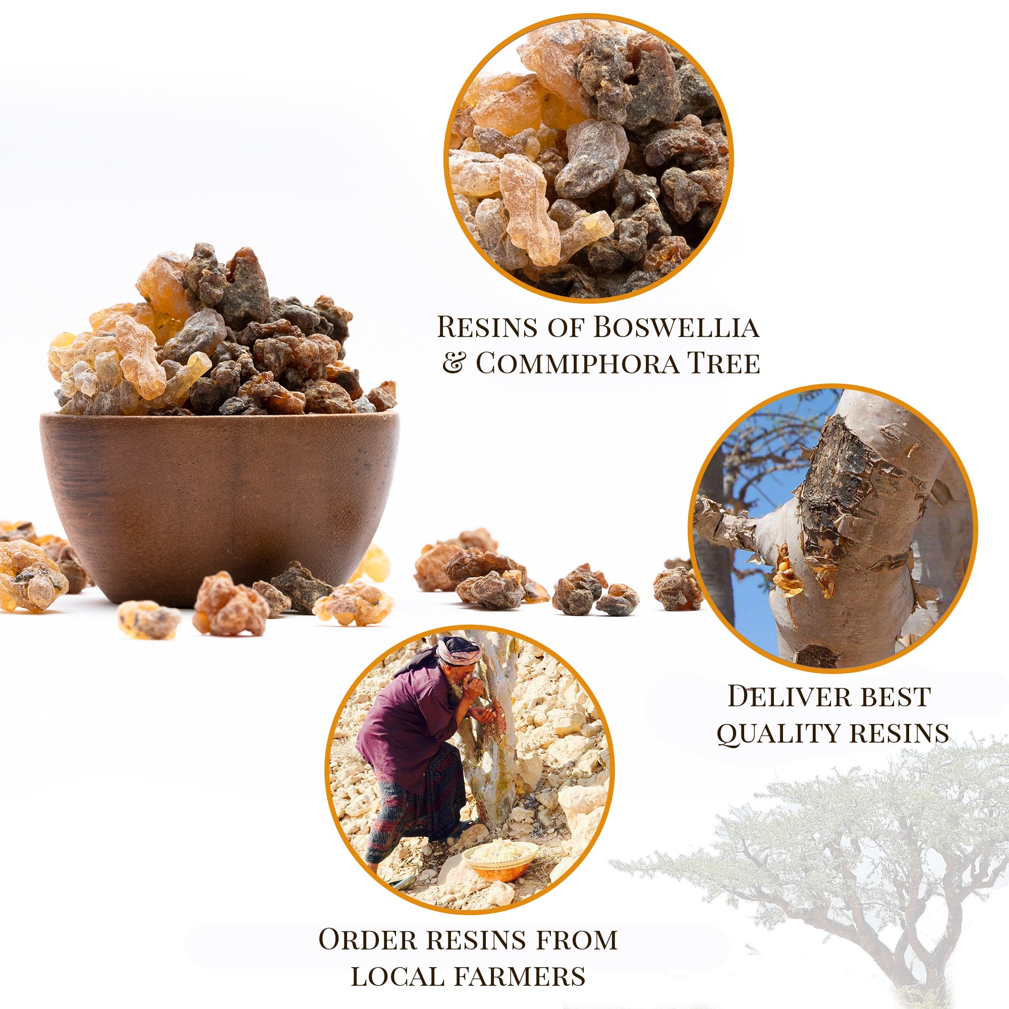 Frankincense & Myrrh Resin - 4oz / 133.4g - By Igneous Products