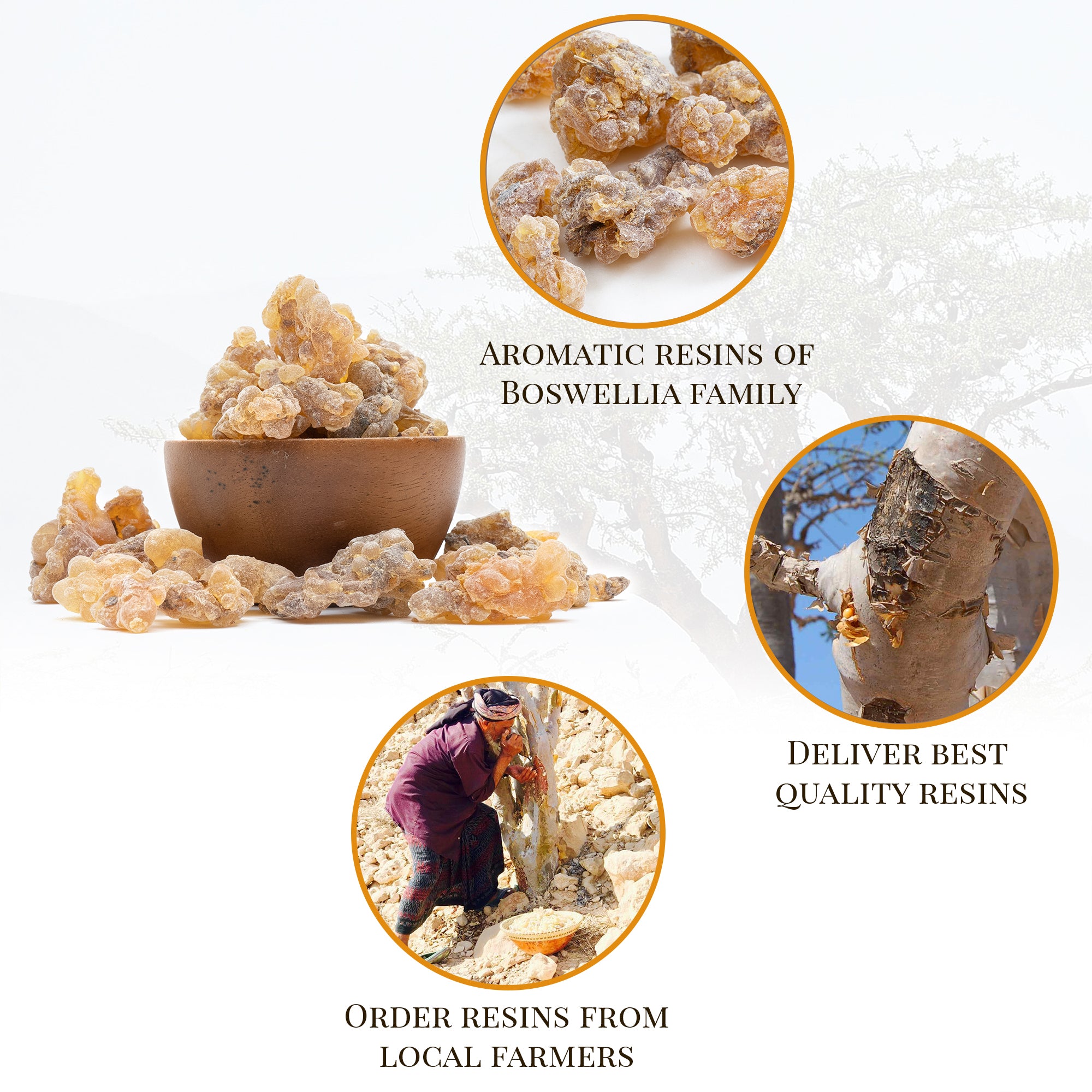 Premium Grade Frankincense Resin (Boswellia Carterii) - Sourced Directly from Farmers - Big Pieces - 1lb (453.6 grams)